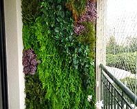 Jardim Vertical Artificial